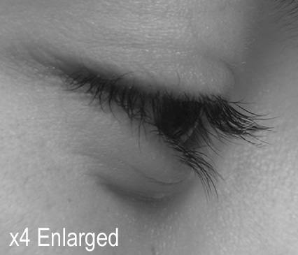icon-Enlargedx4-002459-2020.09.02-17.17.32.00002.jpg