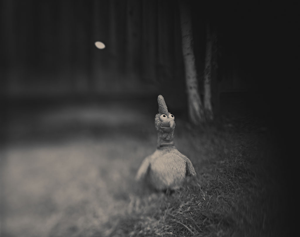 TiltAndSwingWithToyChicken_1024.jpg