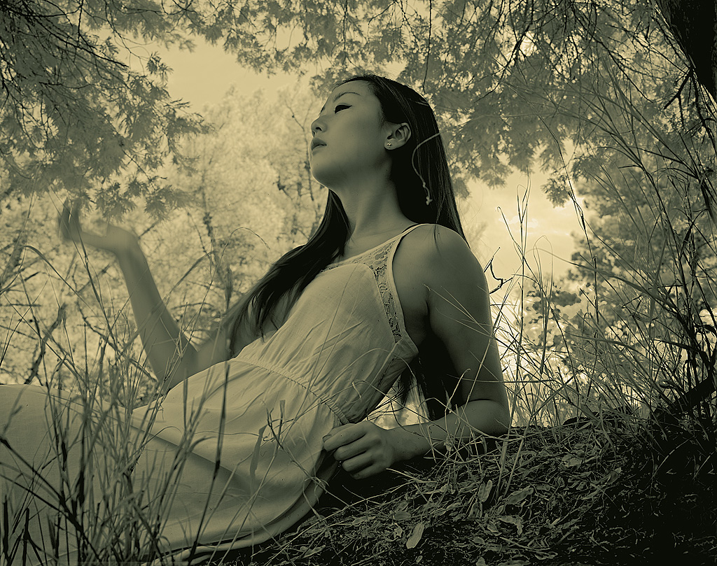 d4ExposureEdit8_MagicalVersion_1024.jpg