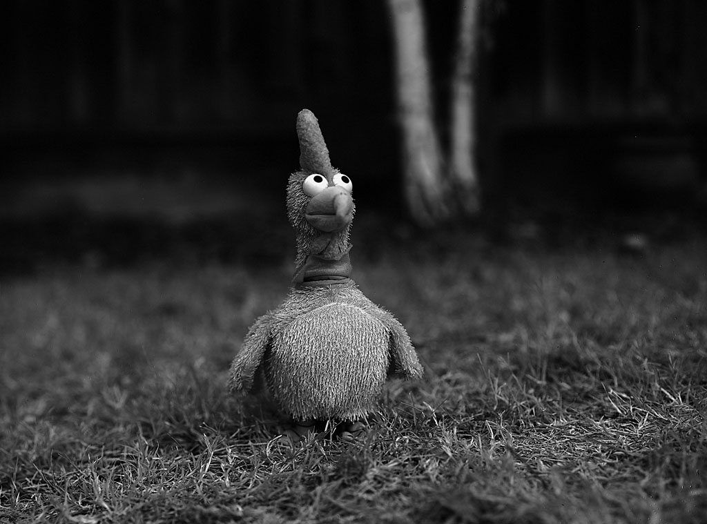full_b_right_chicken_editExposureEdit9_1024.jpg