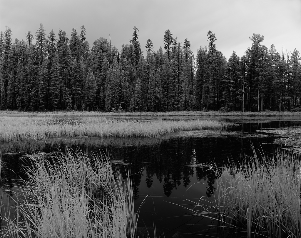 150929_Yosemite-Siesta-Lake_1024.jpg