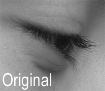 icon-origional-002459-2020.09.02-17.17.32.00002.jpg