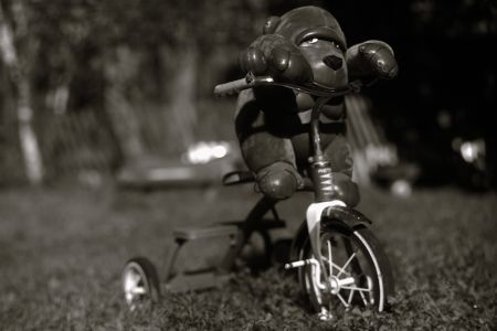 001445-Gorilla-On-Tricyle.jpg