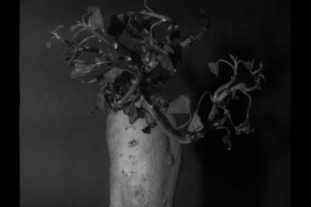 004578-Forgotten-Potatox4-e3.jpg